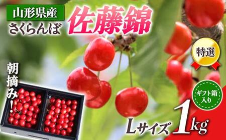 【2027年先行予約】山形県産 朝摘みさくらんぼ 特選佐藤錦1kg ギフト箱入り FSY-0348