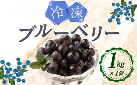 九重町産 冷凍 ブルーベリー 約1kg (1kg×1袋) 果物 フルーツ 冷凍フルーツ 冷凍果物 大分県 九重町産