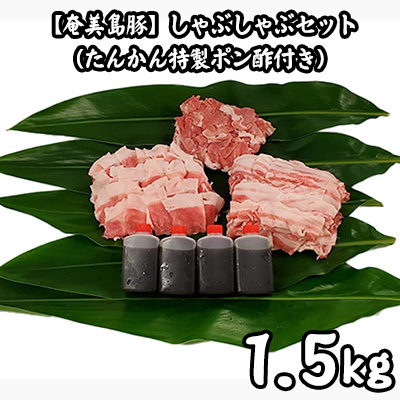 [奄美島豚]しゃぶしゃぶセット1.5kg(たんかん特製ポン酢付き) 豚肉