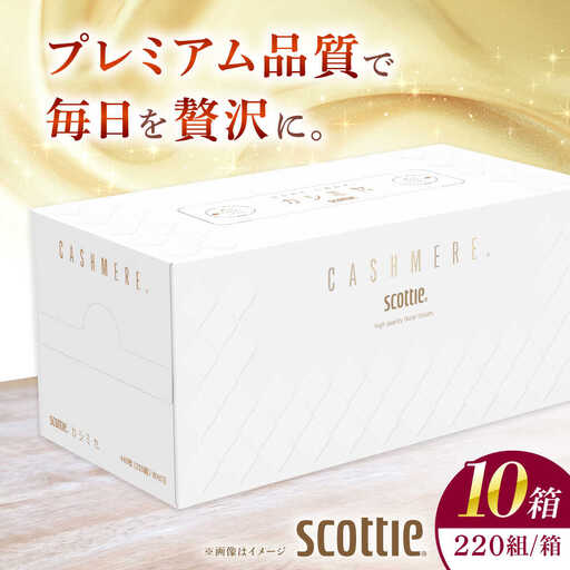 カシミヤスコッティ 10箱 ティッシュ ティッシュペーパー[BDAM020]