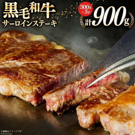 宮崎県産 黒毛和牛 サーロイン ステーキ 300g×3 計900g