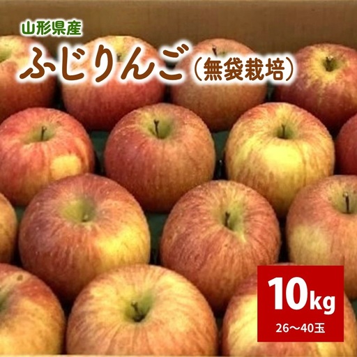ふじりんご　１０ｋｇ　２６～４０玉　ご家庭用　0044-2607