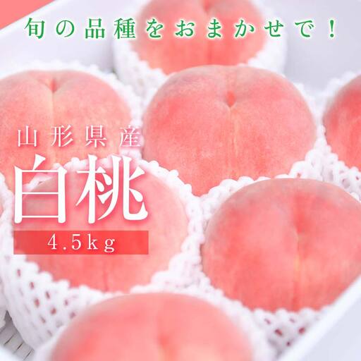 山形県産 白桃 ご自宅用 品種おまかせ 4.5kg もも フルーツ 【FSY-2742】