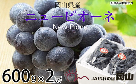 ぶどう 2026年 先行予約 ニュー ピオーネ 約600g×2房 岡山県産 ピオーネ