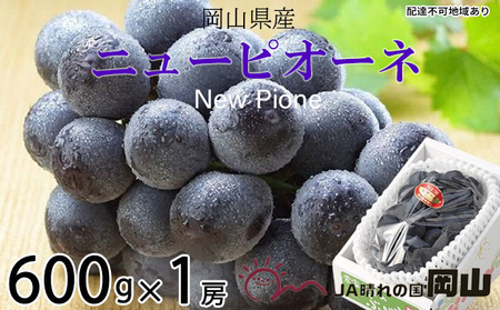 ぶどう 2026年 先行予約 ニュー ピオーネ 約600g×1房 岡山県産 ピオーネ