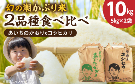 〈数量限定〉【幻の潮かぶり米】令和7年産新米 あいちのかおり&コシヒカリ2品種 食べ比べ10kg（5kg×2袋） 令和７年度産　新米　米 コメ 新米 あいち 愛知 かおり コシヒカリ こしひかり 数量限定 H073-009