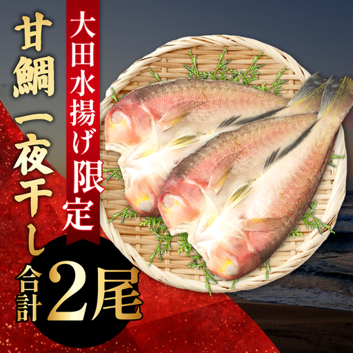 大ぶり甘鯛一夜干(2尾)[甘鯛 一夜干し 2尾 干物 あまだい ぐじ 大ぶり おつまみ 酒の肴 素焼き 唐揚げ 鯛 たい タイ あまだい アマダイ 魚介 魚貝 一日漁 無添加 贅沢 高級 父の日 母の日]
