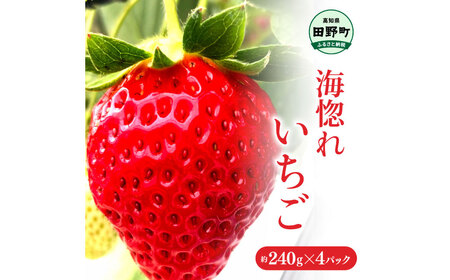 ≪農園直送≫ 海惚れいちご 約240g×4パック (S~Lサイズ混載) 