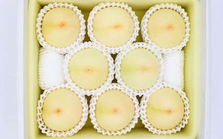 岡山白桃・晩生(ご家庭用)約2kg 6〜9玉入り[2026年8月下旬 発送予定][もも 桃 白桃 果物 フルーツ 国産 人気 おすすめ 岡山県 倉敷市]