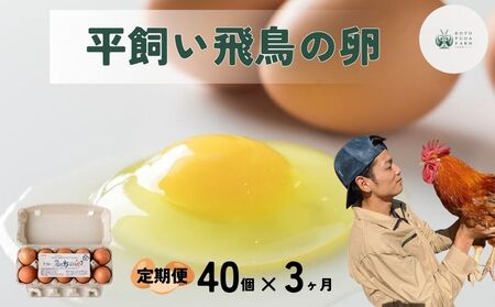 [毎月定期便/3ヶ月]平飼い飛鳥の卵 40個/ 卵 たまご 玉子 生卵 鶏卵 生たまご たまごかけごはん 卵焼き 目玉焼き 冷蔵 チルド 古都風雅ファーム 奈良県 宇陀市