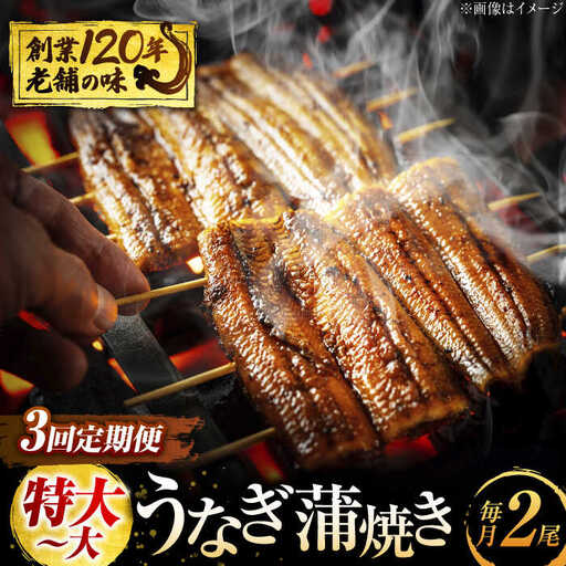 【3回定期便】うなぎ 蒲焼き 2尾 × 3回 計6尾 多治見市/澤千 うなぎ ウナギ [TDD005]