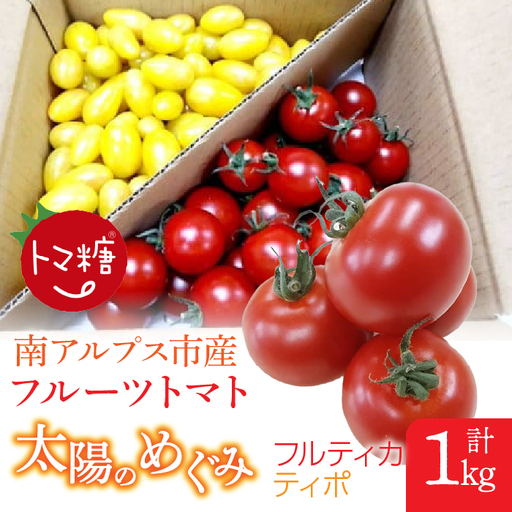 フルーツトマト「太陽のめぐみ」1kg(フルティカ&ティポ)ALPBI002 | トマト 高糖度 トマト フルーツトマト おすすめ トマト 産地直送 新鮮 フレッシュ 高栄養素 南アルプス市 山梨