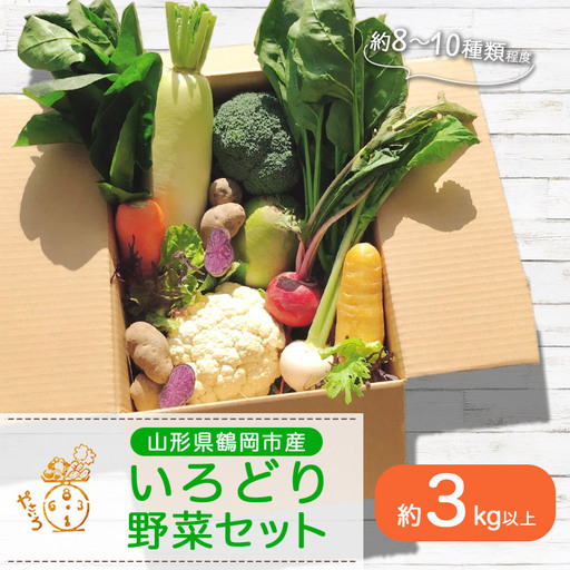 いろどり野菜セット (約8〜10種類程度) 3kg以上 山形県鶴岡産 やさいろ