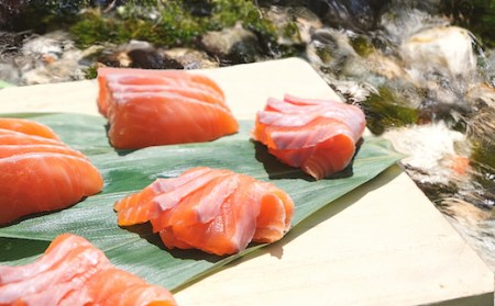 信州サーモン フィレ 450g 冷凍