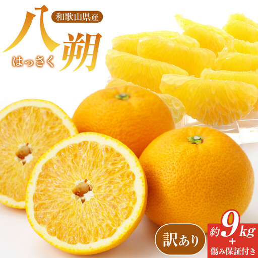 訳あり八朔 約10kg(箱込み)和歌山県産