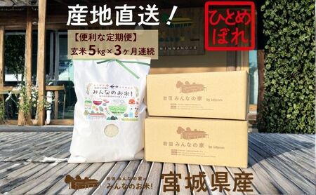 玄米 定期便 3ヶ月 ひとめぼれ 5kg 合計 15kg 岩沼みんなの家 みんなのお米! 米 お米 単一原料米 ブランド米 東北 震災 支援 こめ おこめ ご飯 ごはん 5キロ 3か月 3ヵ月 産地直送 送料無料 宮城県産 宮城 宮城県 岩沼市 定期 3回