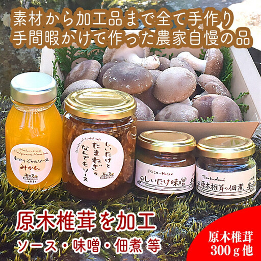 原木生椎茸と椎茸のソース&味噌&佃煮、椎茸の廃ホダを肥料に育ったみかんジャムのセット[家庭用 自宅用 贈答品 贈答用 ギフト お取り寄せ お中元 お歳暮 贈り物 お祝い 神奈川県 小田原市 しいたけ しいたけ]