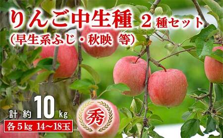 [令和8年産先行予約] JA 中生種りんご 2種セット 「早生系ふじ (涼香の季節・昴林)・秋陽・秋映 等」 各約5kg (計10kg) 『JA山形おきたま』 [719]