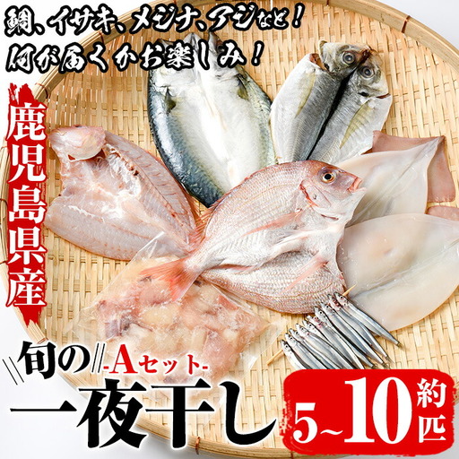 数量限定！阿久根市産の旬の一夜干しグルメ＜A＞セット(鯛・アジ・イカ・サバなど)国産 鮮魚 詰め合わせ お楽しみ 海の幸 魚介類 干物 海鮮【さるがく水産】akn028-06