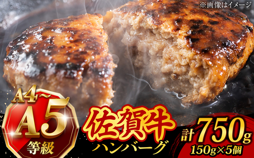A4 A5 佐賀牛100％ ハンバーグ 計750g /焼肉どすこい [UCC024] 牛肉 肉 牛ハンバーグ