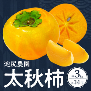 [10月発送]池尻農園 太秋柿 9玉〜14玉 約3kg_柿 甘柿 太秋柿 9 〜 14 約 3kg 種が少ない 池尻農園 シャキシャキとした食感 さっぱり 多汁 高い糖度 国産 フルーツ 果物 福岡県 久留米市 お取り寄せ お取り寄せフルーツ 食品 食べ物 送料無料 〔Fk012〕