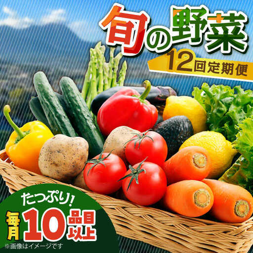 【12回定期便】地元農家さんが収穫した旬のお野菜  10種詰め合わせ / 野菜 旬 新鮮 採れたて 季節野菜 旬野菜 農家直送 野菜定期便 定期便 / 南島原市 / ミナサポ  [SCW047]