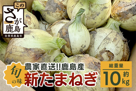 先行受付 2027年配送[生産者直送]鹿島産 新たまねぎ 約10kg サイズ混合[高評価4.8以上]AA-17