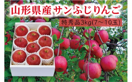 [先行予約 2026年度発送][山形県産]サンふじりんご特秀品3kg りんご リンゴ 林檎 デザート フルーツ 果物 くだもの 果実 食品 山形県
