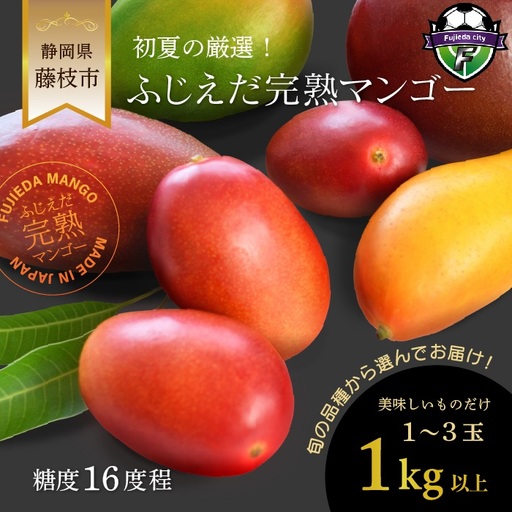 マンゴー 先行予約 2027年6月頃より順次発送 完熟 マンゴー 1kg