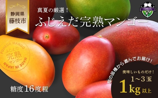 マンゴー 【2026年7月頃より順次発送】 完熟マンゴー 1kg