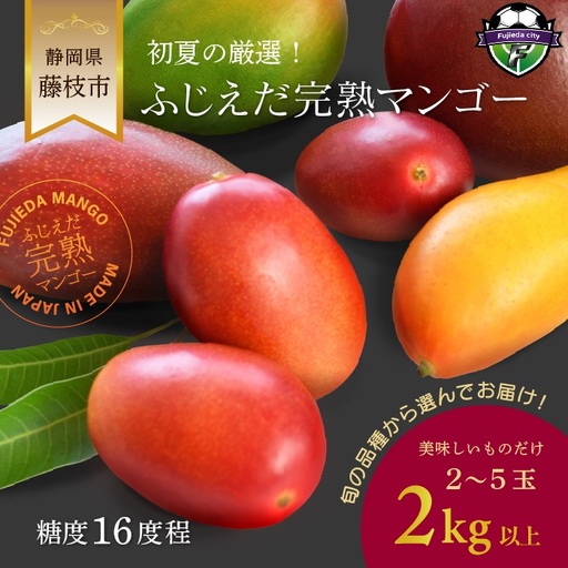 マンゴー 先行予約 2027年6月頃より順次発送 完熟マンゴー 2kg
