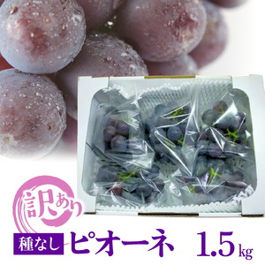 【訳あり】ピオーネ 300g×5袋 N053-YA5510