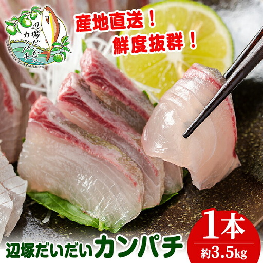 辺塚だいだい カンパチ 約3.5kg 1本 産地直送 かんぱち 勘八 鮮魚 ボックス 鮮魚BOX[高山漁業協同組合]