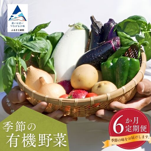 有機野菜 定期便 6ヶ月 有機野菜