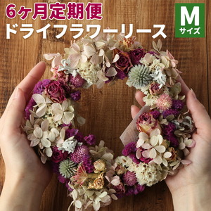 [6カ月定期便] ドライフラワーリース Mサイズ ドライフラワー リース デザインおまかせ フラワーアレンジ インテリア 花 プレゼント ドライフラワー 送料無料[90日以内に出荷予定(土日祝除く)]