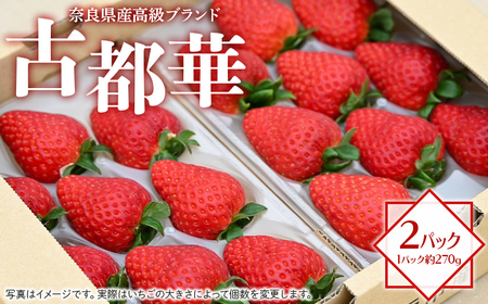 奈良県産高級ブランド　古都華 約270g×2パック ※2027年1月～発送