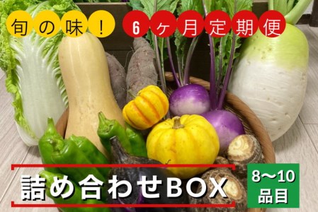 [6回定期便]野菜詰め合わせ めぐる農園 野菜