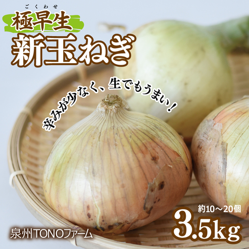 [先行予約]極早生 新たまねぎ 3.5kg