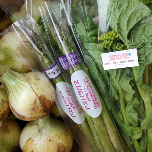 【先行予約】泉州TONOファーム厳選 春の野菜セット