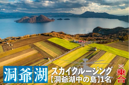 2026洞爺湖スカイクルージング約6分[洞爺湖中の島]1名様 体験チケット ヘリコプター 空中散歩 自然 満喫 遊覧飛行 思い出 景色 北海道の自然 ふるさと納税 洞爺湖 観光 体験 絶景
