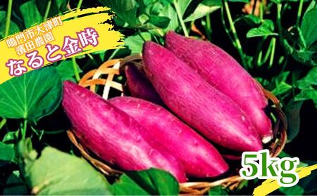 【予約受付中・2026年12月上旬頃より順次発送】【濱田農園】 なると金時 訳あり サイズ混合5kg  |  さつまいも サツマイモ ご飯 天ぷら なると金時 ホクホク