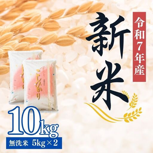 No.2499大文字屋米穀店【令和7年産】コシヒカリ精米（無洗米）1等米 10kg