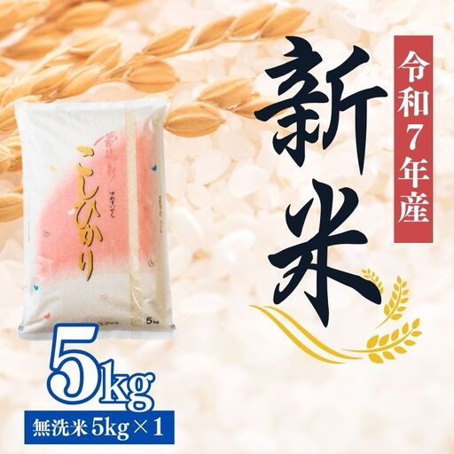 No.2500大文字屋米穀店【令和7年産】コシヒカリ精米（無洗米）1等米 5kg