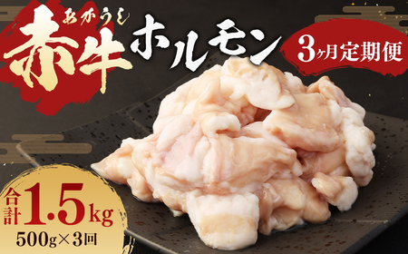 【3ヶ月定期便】 赤牛 ホルモン 500g (250g×2パック) ×3回 牛肉 お肉 定期
