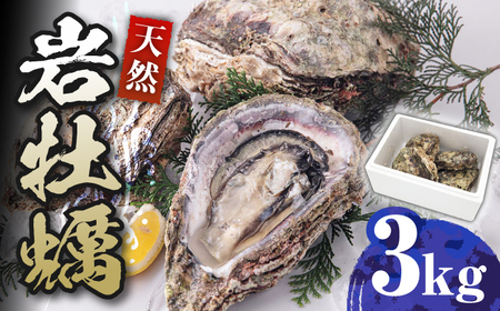 天然 岩ガキ 3kg [WAD001] 岩がき 牡蠣 海鮮 魚介 牡蠣 かき カキ