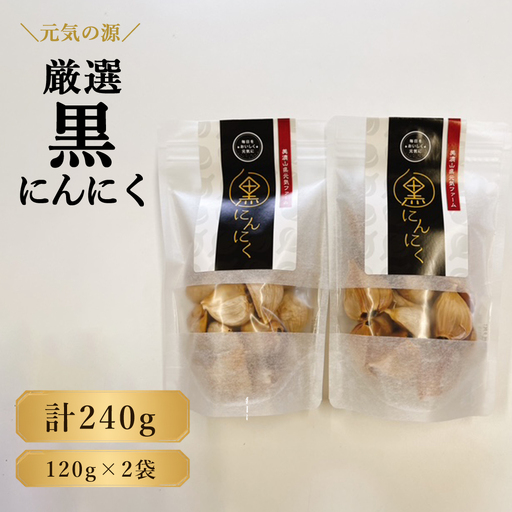 元気の源 黒にんにく 240g [No.672]