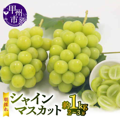 【宿沢フルーツ農園】シャインマスカット 約1.0kg（2～3房）【2026年発送】（SF）B-181 シャインマスカット フルーツ