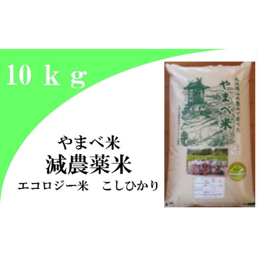 【玄米】減農薬米（こしひかり100％）１０ｋｇ【玄米 10kg 令和7年産 2025年産 コシヒカリ 島根県産 大田市産 米 エコロジー米 エコファーマー認定 減化学肥料 ダイエット】
