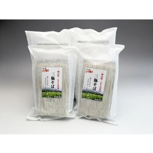 ロード銀山特製三瓶そばセット[そば 蕎麦 三瓶そば 細麺 詰め合わせ セット]