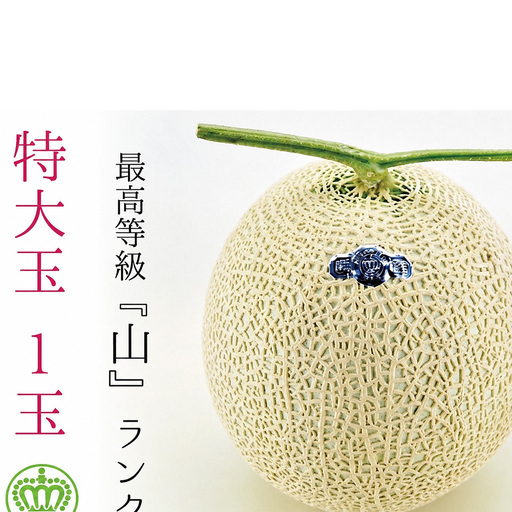 ★発送月選択できる返礼品★ 『クラウンメロン（山等級）特大玉  1玉』 ギフト箱入り メロン 人気 厳選 ギフト 贈り物 デザート グルメ  袋井市 2026年8月発送